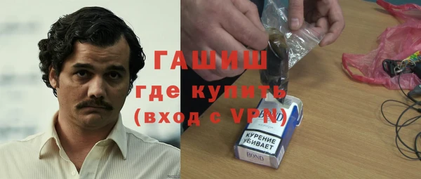 гидра Алексеевка