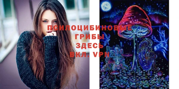 твердый Алексин