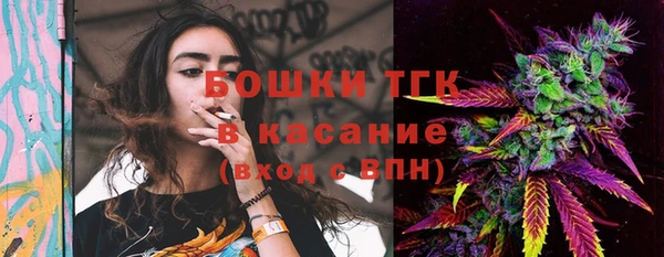 твердый Алексин