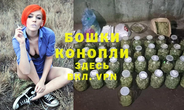 гидра Алексеевка