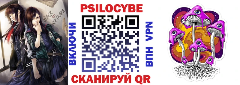 Псилоцибиновые грибы Psilocybine cubensis  купить закладку  Кулебаки 