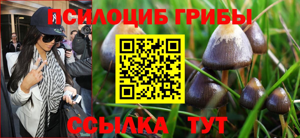 Псилоцибиновые грибы прущие грибы  Вход с VPN  Кулебаки 